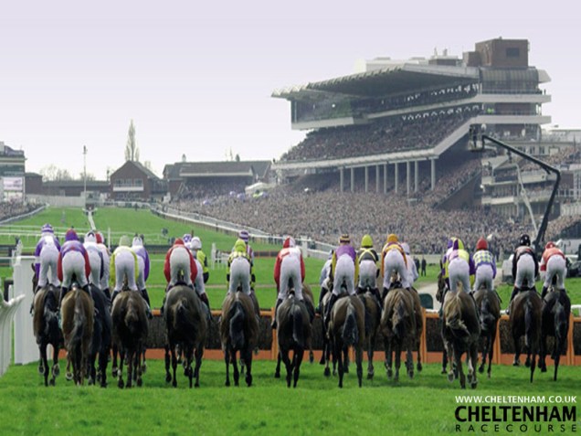 Cheltenham Racing X